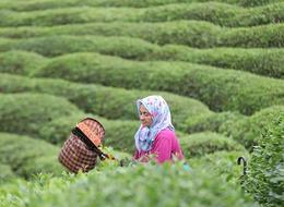 Fabrikalarda izdiham yaşandı 'Ara verin' çağrısı geldi! 'Ciddi fiyat düşüşleri yaşandı'