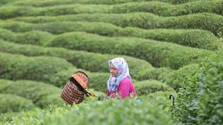 Fabrikalarda izdiham yaşandı 'Ara verin' çağrısı geldi! 'Ciddi fiyat düşüşleri yaşandı'