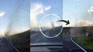 Çıldır Gölü'nde sinek fırtınası! Doğal afet olayı gibi görüntü: İstila ettiler...