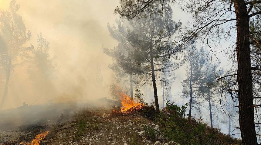 Balıkesir'de orman yangını! Ekipler müdahale ediyor