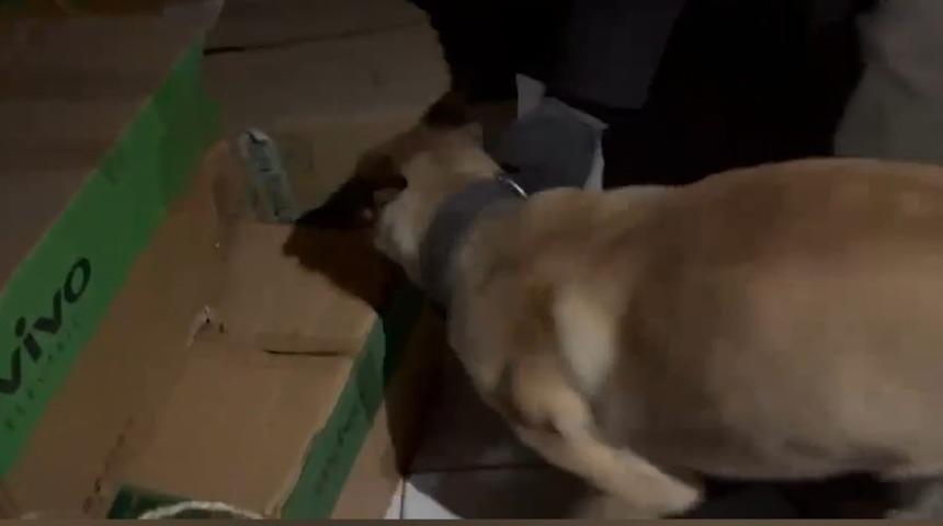 Narkotik köpeği ETA, zehir tacirlerine göz açtırmıyor