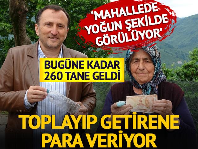 Toplayıp getirene para veriyor! 'Mahallede yoğun' 260 tane geldi