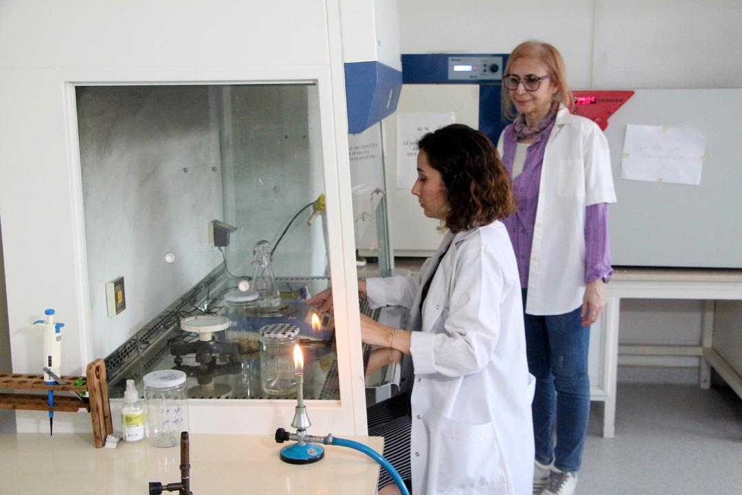 Bayramınız zehir olmasın! Baklavadaki ölümcül tehlike: 5 işletmede dışkı kökenli bakteri çıktı! 8