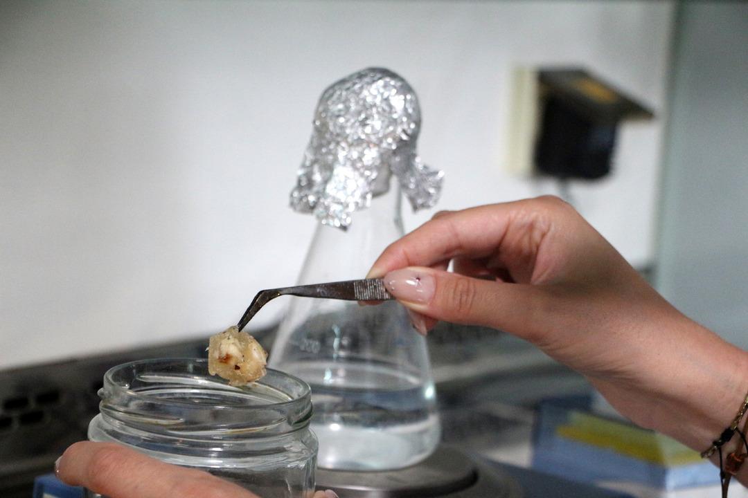 Bayramınız zehir olmasın! Baklavadaki ölümcül tehlike: 5 işletmede dışkı kökenli bakteri çıktı! 4