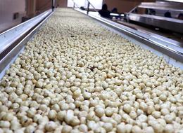 Türkiye, fındık ihracatından 2025'in ilk 5 ayında 1 milyar doları aşkın gelir sağladı