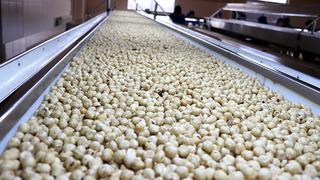 Türkiye, fındık ihracatından 2025'in ilk 5 ayında 1 milyar doları aşkın gelir sağladı