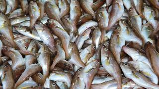 Mezgit balığının faydaları nelerdir? Mezgit balığı neye iyi gelir?