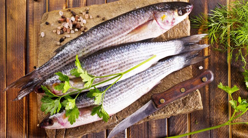 Kefal balığının faydaları nelerdir? Kefal balığı sağlıklı mı, neye iyi gelir?