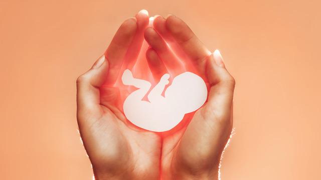 Mol gebelik nedir, nasıl anlaşılır? Mol gebelik belirtileri nelerdir?