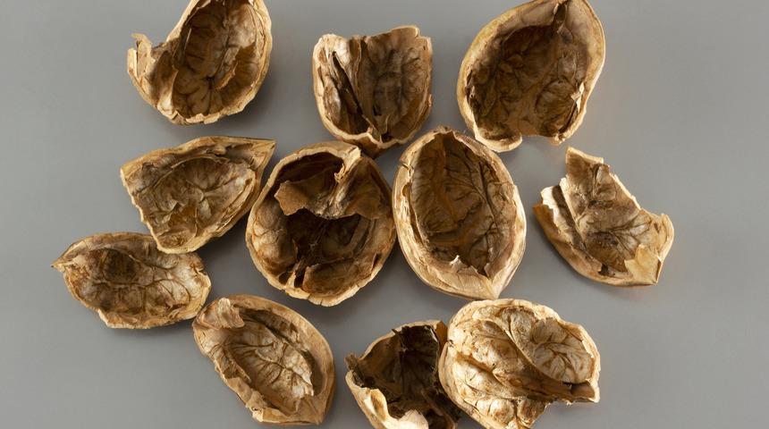 Ceviz kabuğunun faydaları nelerdir? Ceviz kabuğunu kaynatıp suyunu içmek ne işe yarar?