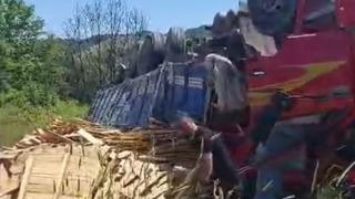 Yalova'da freni boşalan kamyon devrildi; 1 kişi yaralandı