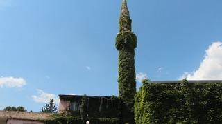 Hazırlıklar tamamlandı! Sarmaşıklarla kaplı 'yeşil cami' bayrama hazır