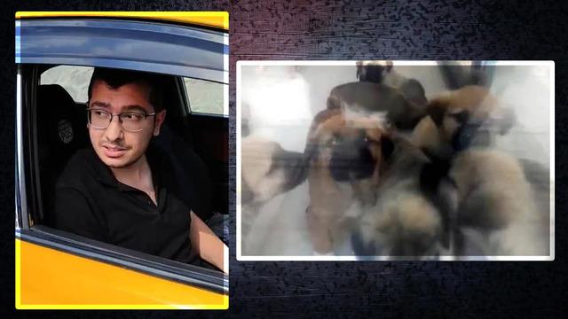 Sahipleniyor, istismarda bulunup parçalıyormuş... Sapık doktor Muhammet Mustafa Duman'ın telefonundan çıktı! 43 bin müstehcen görüntü...