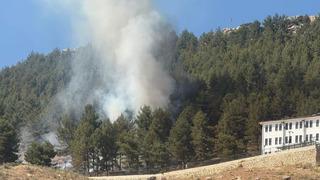 Ormanlık alanda çıkan yangın korkuttu