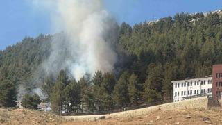 Ormanlık alanda korkutan yangın 