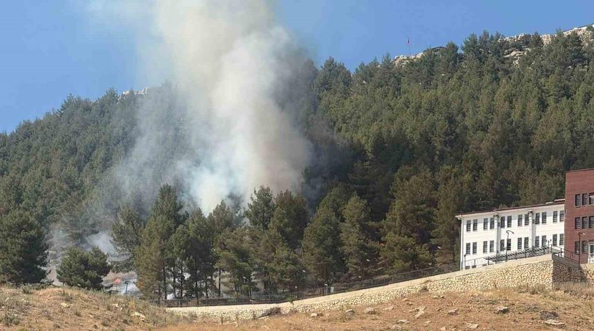 Ormanlık alanda korkutan yangın 