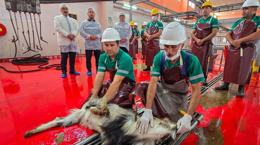 Mersin'de şehitlerin anısına kurban kesildi