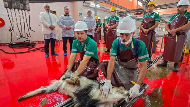 Mersin'de şehitlerin anısına kurban kesildi
