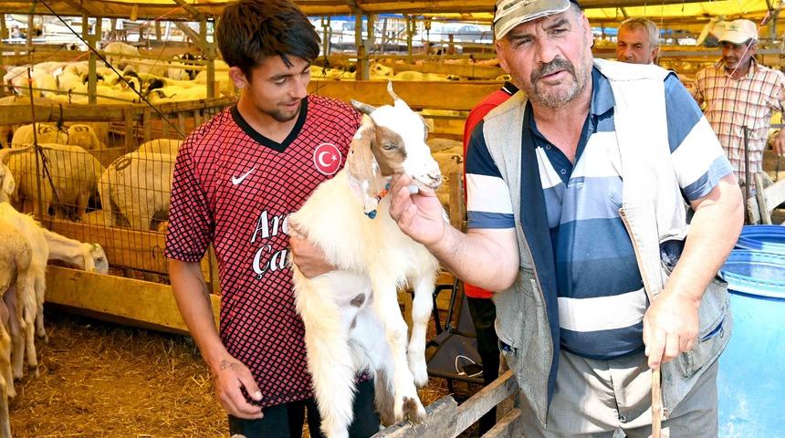 Bahçelievler kurban pazarı hem alıcıların hem de satıcıların yüzünü güldürdü