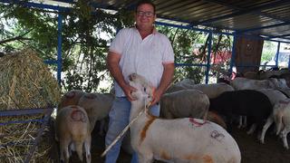 Balıkesir Sındırgı kurban pazarında arefe yoğunluğu 