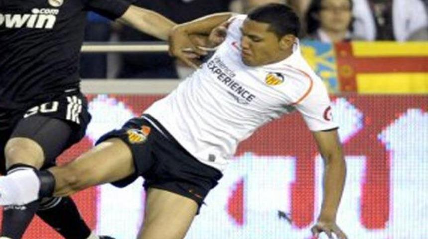 Aslan par&ccedil;ası