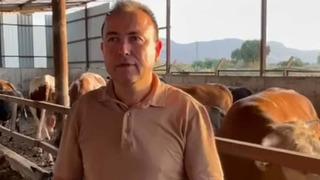 Dana saldırmıştı! İş insanı hayatını kaybetti