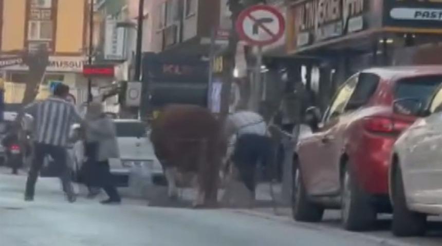 Ümraniye’de pazardan kaçan kurbanlık ortalığı dağıttı