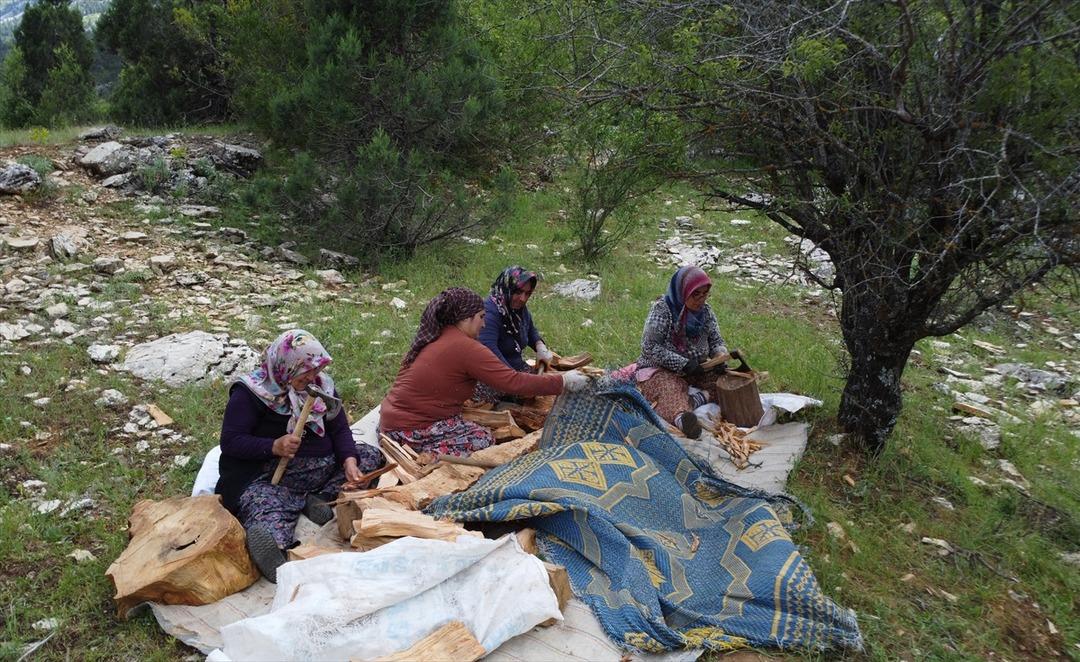 AA-20250606-38201685-38201679-ANTALYADA_GELENEKSEL_YONTEMLERLE_SEDIR_KATRAN_YAGI_URETILIYOR
