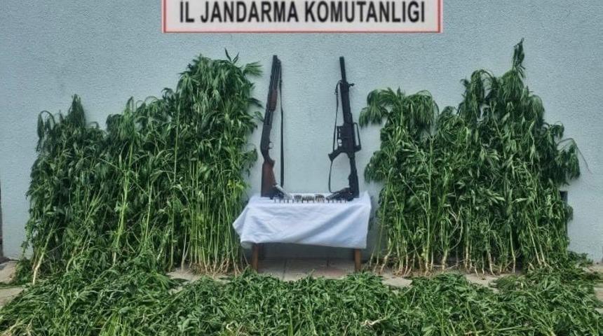 Tekirdağ'da jandarmadan uyuşturucu ve silah operasyonu