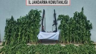 Tekirdağ'da jandarmadan uyuşturucu ve silah operasyonu