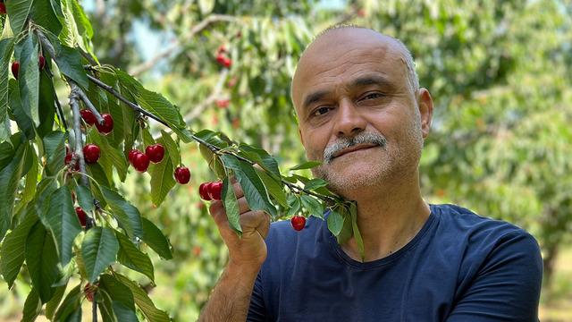 Bahçede 700 halde 400 TL, bardağın içine girmiyor 'Ciddi rağbet görüyor' Artık son 1 hafta!