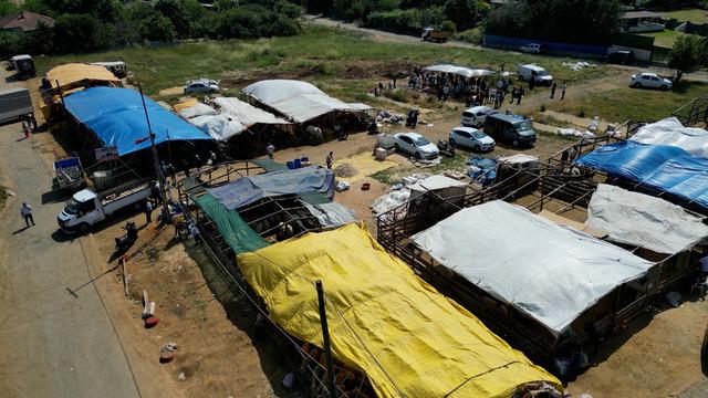 İstanbul'da kaçak kurban kesimlerine dronla denetim
