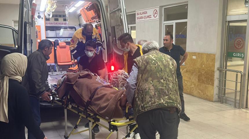 Eski köy muhtarı kardeşini öldürdü, oğlunu ve diğer kardeşini yaraladı