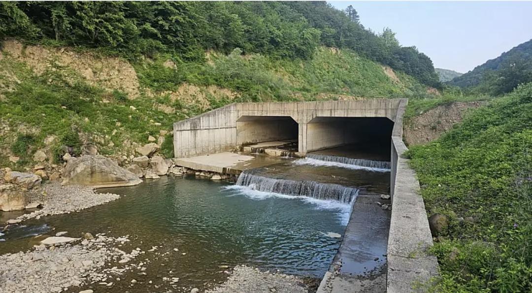 BARTIN’DA-SERINLEMEK-ICIN-IRMAGA-GIREN-E_754327_222636