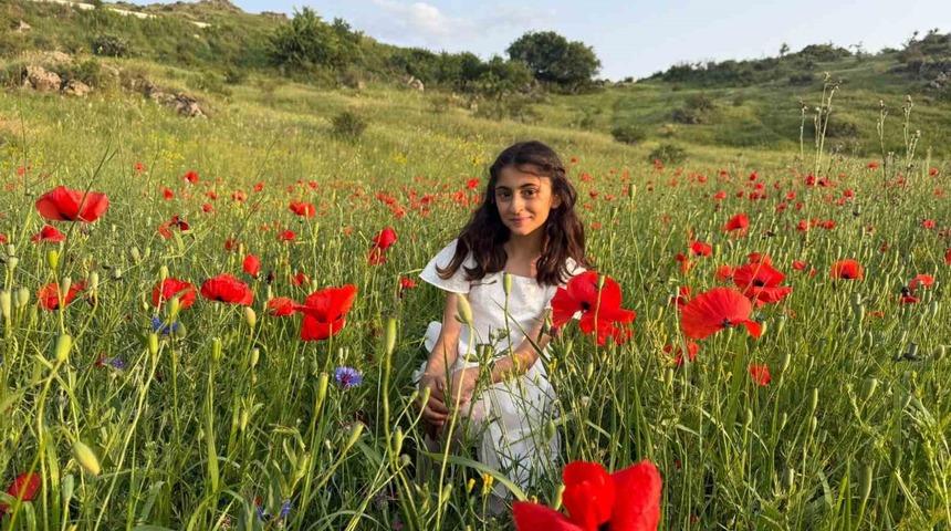 Iğdır’da gelincik tarlaları görsel şölen sunuyor