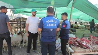 Haliliye Belediyesi 662 personeliyle sahada