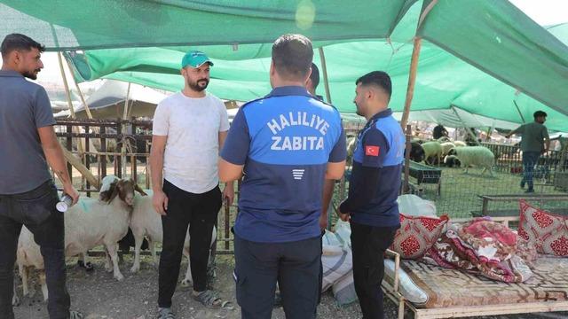 Haliliye Belediyesi 662 personeliyle sahada