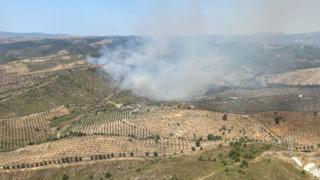 İzmir Seferihisar'da orman yangını