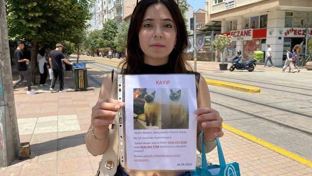 Herkes bayramı kutlarken o sokak sokak kayıp kedisini aradı