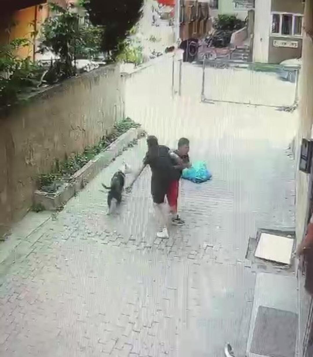 Yine pitbull dehşeti! Sokakta oynayan küçük çocuğu çevredekiler kurtardı, o anlar kameraya yansıdı 2