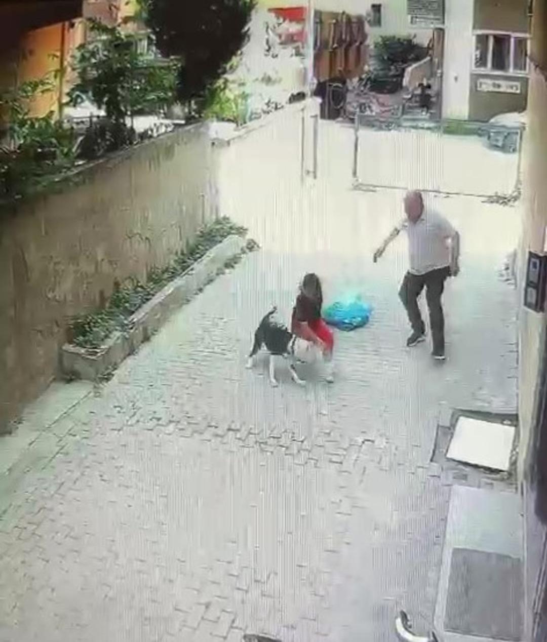 Yine pitbull dehşeti! Sokakta oynayan küçük çocuğu çevredekiler kurtardı, o anlar kameraya yansıdı 3