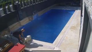 Kurbanlık koç havuza böyle atladı