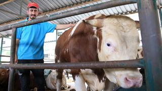 Kurbanlık alım fiyatları açıklandı! Elde kalan kurbanları bu yıl ESK alacak…