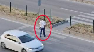 Bartın'da bir garip olay! Yaptığına kimse anlam veremedi... Yaya geçidinden defalarca geçti, yol ortasında durdu