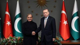 Cumhurbaşkanı Erdoğan, Pakistan Başbakanı Şerif ile görüştü