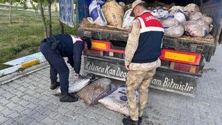 Van’da 19 ton 200 kilo inci kefali balığı ele geçirildi