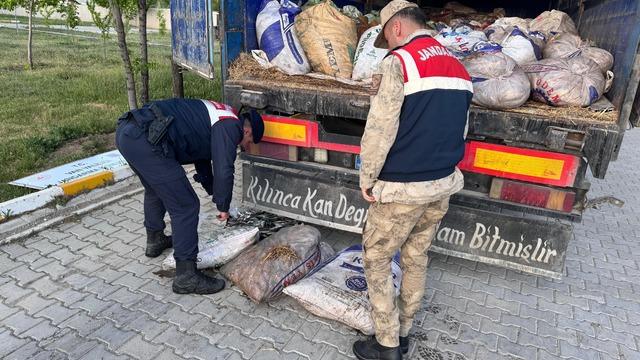 Van’da 19 ton 200 kilo inci kefali balığı ele geçirildi