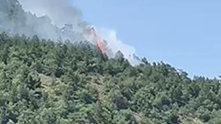 Ankara'da orman yangını çıktı