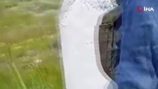 Ankara’da kıyafetlerine kene yapışan vatandaş dert yandı