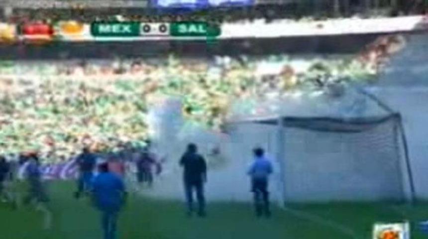 Kaleyi arılar bastı! (VİDEO)